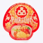 CHAMOY MANGO CRAFT GUMMIES